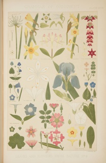 The Grammar Of Ornament, Book