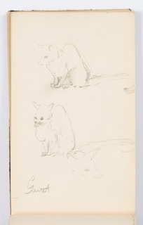 Sketchbook Folio, Sketchbook Page: Sketches of a Genet