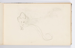 Sketchbook Folio, Sketchbook Page: Sketch of a Genet