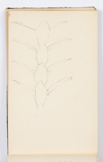 Sketchbook Folio, Sketchbook Page