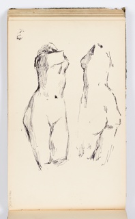 Sketchbook Folio, Sketchbook Page: Woman's Torso