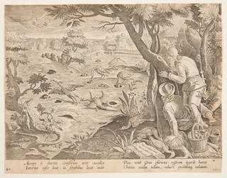 Print, Crane Hunt using Cones, plate 28 in the Venationes Ferarum, Avium, Piscium series