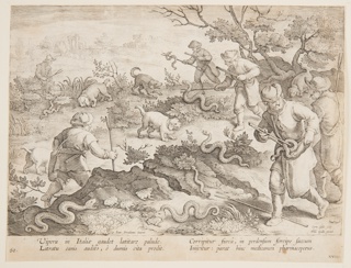 Print, Hunting snakes