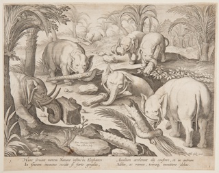 Print, Elephants Helding Each Other out of a Trap, plate 1 from the Venationes Ferarum, Avium, Piscium series