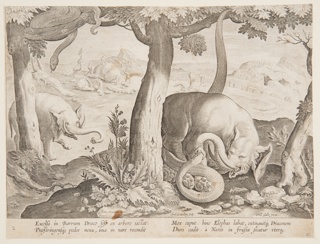 Print, Fight between Elephants and Snakes, plate 2 from the Venationes Ferarum, Avium, Piscium series
