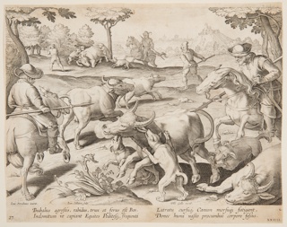 Print, Buffalo Hunt, plate 27 in the Venationes Ferarum, Avium, Piscium series