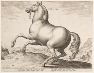 Print, A French Horse, from the first set of "Equile Joannis Austriaci"
