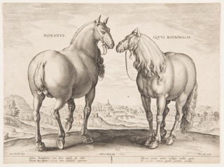 Print, A Roman Horse, from the first set of "Equile Joannis Austriaci"