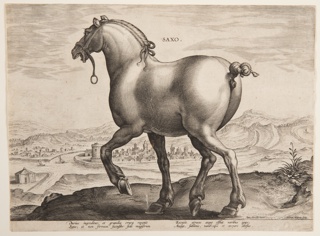 Print, A Saxon Horse, from the first set of "Equile Joannis Austriaci"