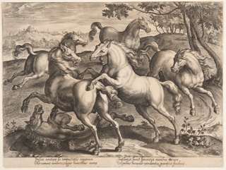 Print, Fighting Horses, from the fourth set of "Equile Joannis Austriaci"