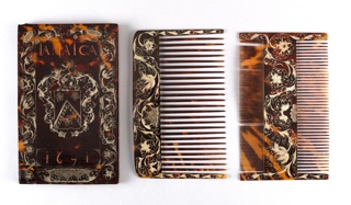 Comb Case with Wig and Lice Combs Comb Case