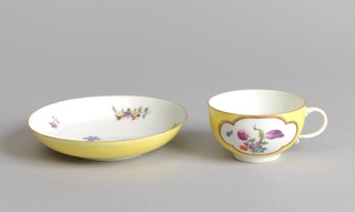 Cup and Saucer Cup And Saucer