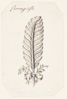Drawing, Design for a Feather Headdress