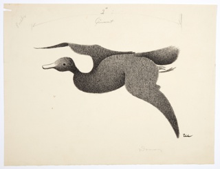 Drawing, Flying Duck