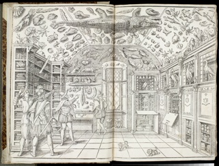 Book, Dell'historia natvrale di Ferrante Imperato napolitano libri XXVIII: nella qvale ordinatamente si tratta della diuersa condition di miniere e pietre: con alcune historie di piante & animali, sin'hora non date in luce (The Natural History of Ferrante Imperato Neapolitan Book XXVIII)