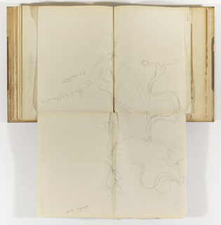 Album Page, Elevation of Left Half of Shield from Statue of Colleoni, Venice