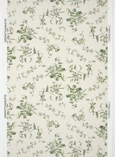 Sidewall, Cannonball