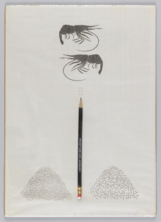 Catalogue, Anni Kuan, Pencil