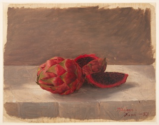 Drawing, Pitajaya Fruit, Colombia