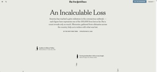 Interactive News Story, “An Incalculable Loss,” The New York Times