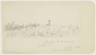 Drawing, Birches and Evergreens on Pemadumcook Lake, Maine