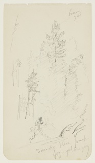 Drawing, Campfire in the Woods, Millinocket, Maine