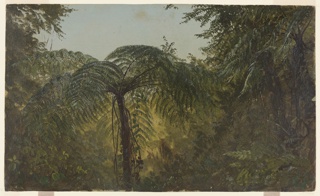 Drawing, Jungle Foliage, Jamaica