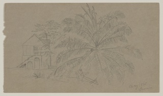 Drawing, House beside a Palm Tree, Jamaica