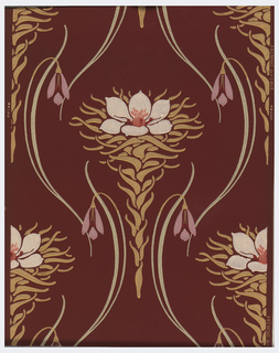 Sidewall, Anemone de Venus