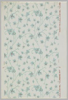 Sidewall, Climbing Ivy