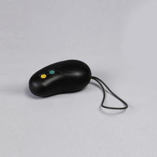 Palm-Size AM/FM Radio Radio