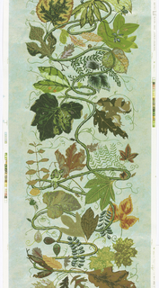 Sidewall, Assorted Leaves