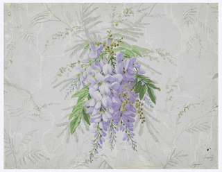 Sidewall - Fragment (France)