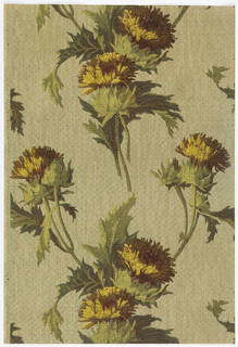 Sidewall - Sample (USA)