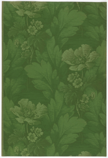 Sidewall - Sample (USA)