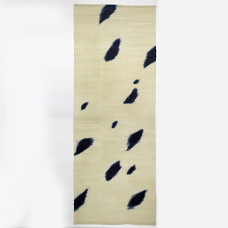 Panel, Space Panel No. 5