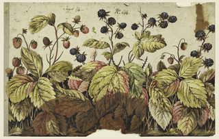 Drawing, Design for a Printed Border