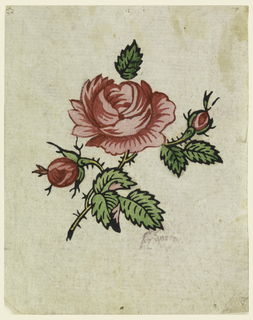 Drawing, Woodblock Trial Proof for a Printed Textile