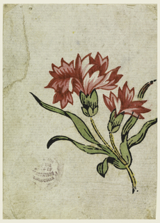 Drawing, Woodblock Trial Proof for a Printed Textile