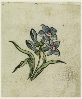 Drawing, Woodblock Trial Proof for a Printed Textile