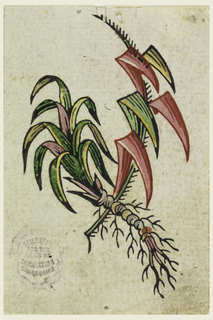 Drawing, Trial Proof for a Printed Textile