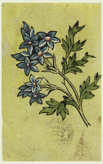 Drawing, Woodblock Trial Proof for a Printed Textile