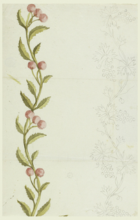 Drawing, Sketch and Design for Woven or Embroidered Borders