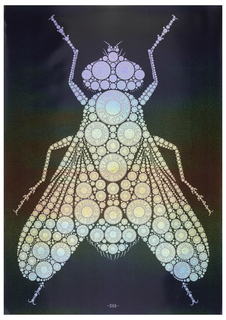 Poster, Levi's 501, The Button Fly