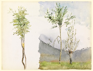 Drawing, Landscape Sketches