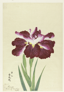 Print, Bird of Paradise Castle (Ho-o-jo), No. 5