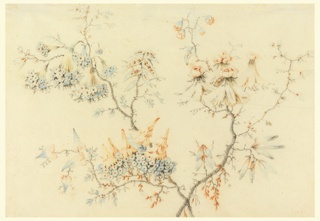 Drawing, Flowering Branches