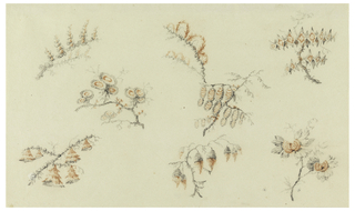 Drawing, Sprays of Seven ideal Flowers and of one quasi naturalistic flower