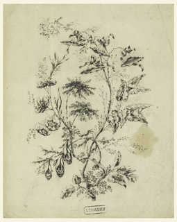 Drawing, Bough of a fantastic tree