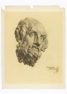 Drawing, Study of a Bust